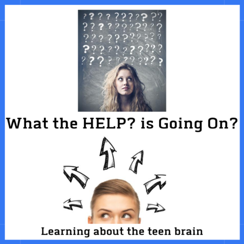 what-the-help-is-going-on-learning-about-the-teen-brain-graphic-question-marks-arrows