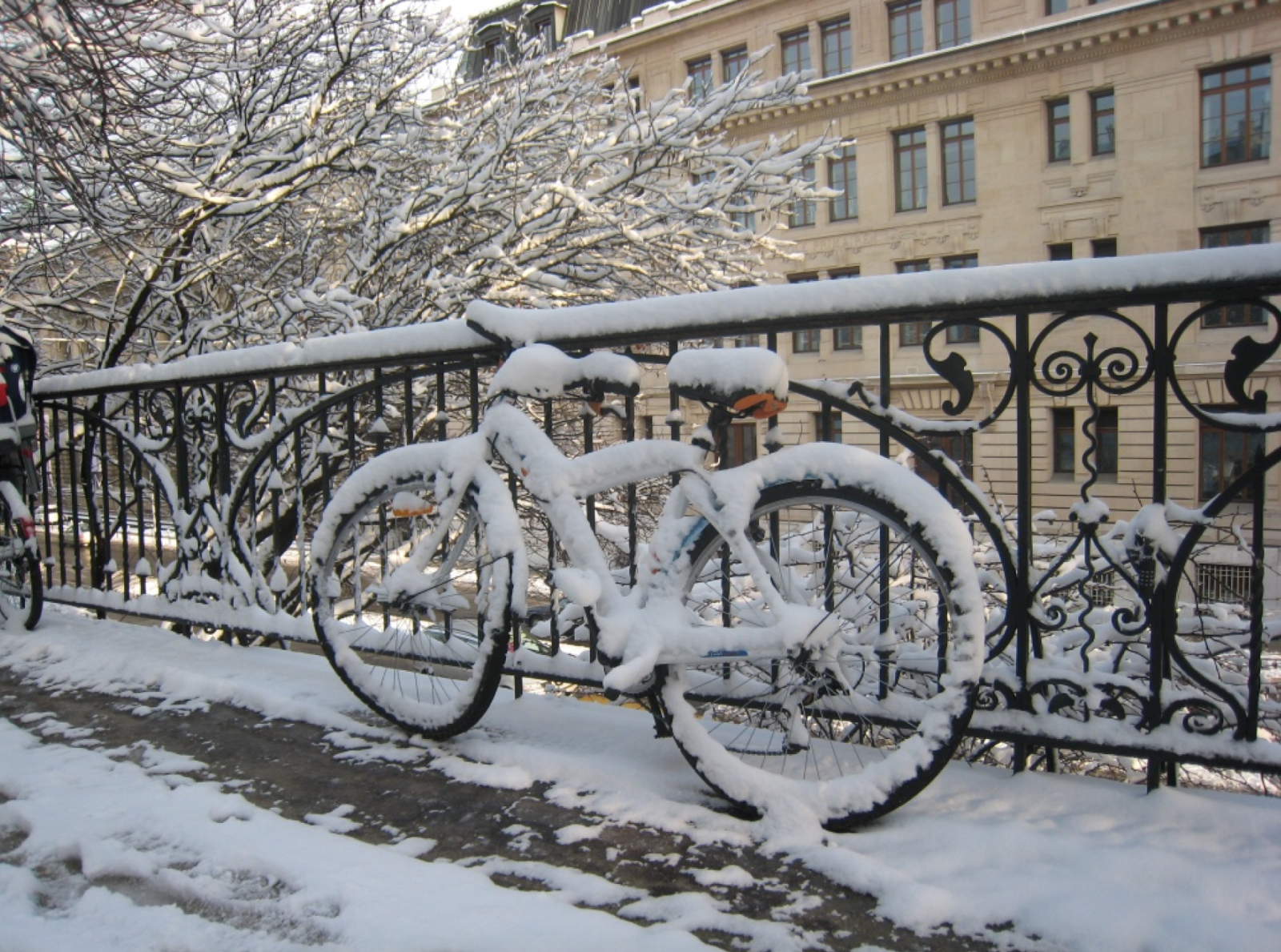 bicycle-covered-in-snow-leaning-on-a-fence-in-winter