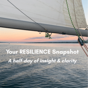 resilience represented by the sailboat metaphor