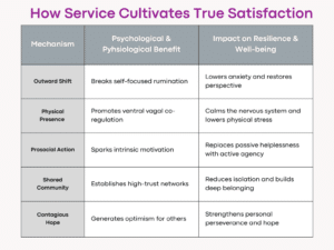 How Service Cultivates True Satisfaction Table